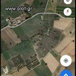 Land plot 10.000 sqm for sale, Achaia, Larissos