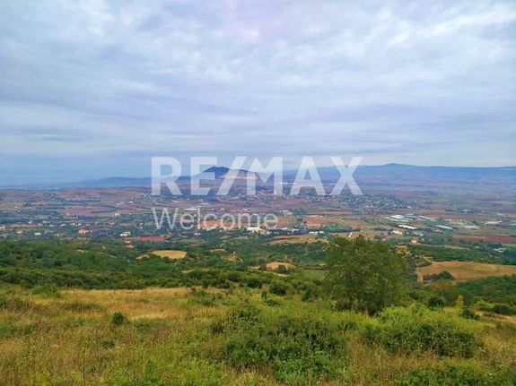 Αγροτεμάχια 26.000 τ.μ. για πώληση, Θεσσαλονίκη - Περιφ/Κοί Δήμοι, Μυγδονία