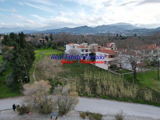 Οικόπεδο 3.550 τ.μ. για πώληση, Αχαΐα, Ερίνεο-thumb-11