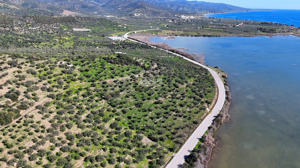 Αγροτεμάχια 14.549 τ.μ. προς πώληση, Θερμησία