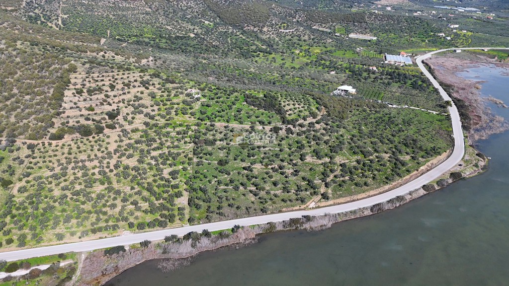 Αγροτεμάχια 14.549 τ.μ. προς πώληση, Θερμησία