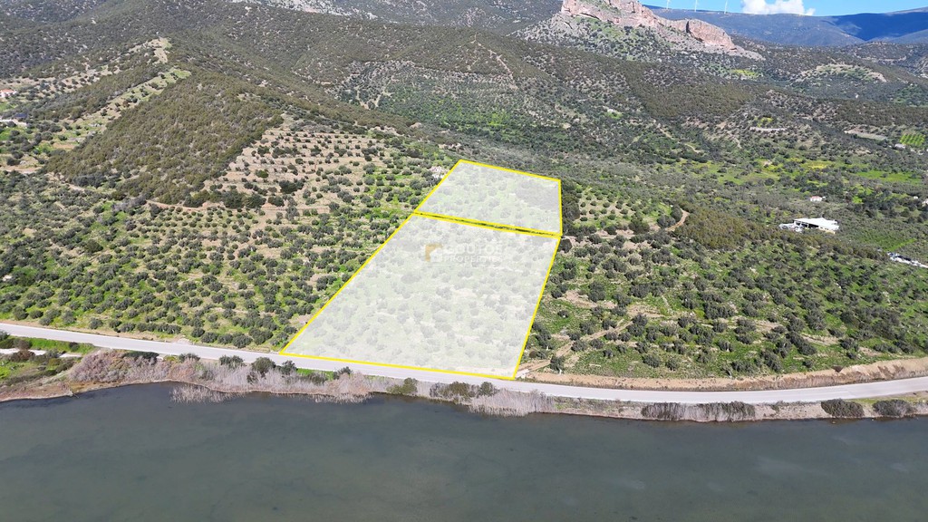 Αγροτεμάχια 14.549 τ.μ. προς πώληση, Θερμησία