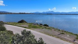 Αγροτεμάχια 14.549 τ.μ. για πώληση