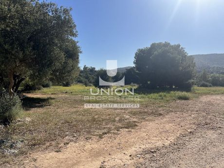 Land plot 7.500sqm for sale-Vari - Varkiza » Miladeza