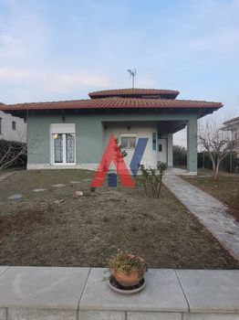 Μονοκατοικία 119τ.μ. για πώληση-Κοιλάδα » Ελευθερές