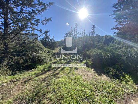 Land plot 815sqm for sale-Palaia Fokaia » Κέντρο