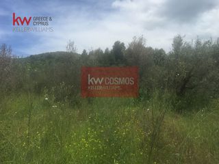 Αγροτεμάχια 13.862 τ.μ. πρός πώληση, Εύβοια, Ιστιαία-thumb-11