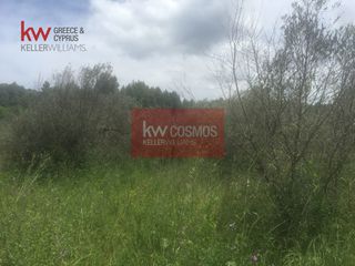 Αγροτεμάχια 13.862 τ.μ. πρός πώληση, Εύβοια, Ιστιαία-thumb-9