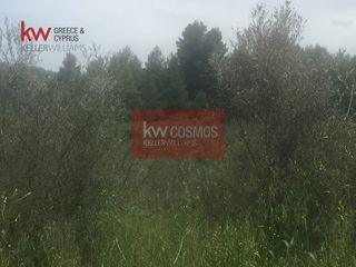 Αγροτεμάχια 13.862 τ.μ. πρός πώληση, Εύβοια, Ιστιαία-thumb-12