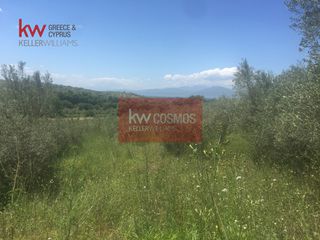 Αγροτεμάχια 13.862 τ.μ. πρός πώληση, Εύβοια, Ιστιαία-thumb-6