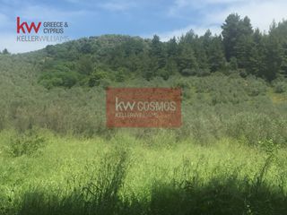 Αγροτεμάχια 13.862 τ.μ. πρός πώληση, Εύβοια, Ιστιαία-thumb-1