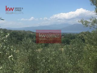 Αγροτεμάχια 13.862 τ.μ. πρός πώληση, Εύβοια, Ιστιαία-thumb-17