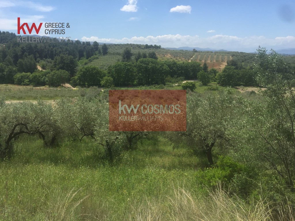 Αγροτεμάχια 13.862 τ.μ. πρός πώληση, Εύβοια, Ιστιαία