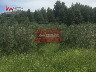 Αγροτεμάχια 13.862 τ.μ. πρός πώληση, Εύβοια, Ιστιαία-thumb-14