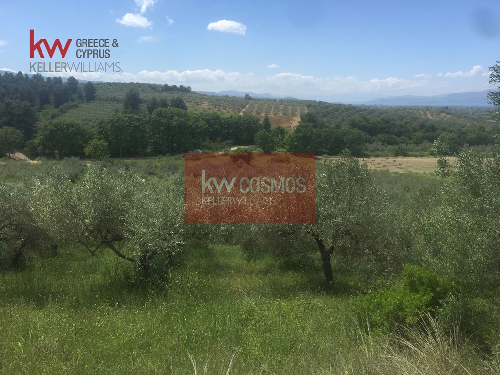 Αγροτεμάχια 13.862 τ.μ. πρός πώληση, Εύβοια, Ιστιαία