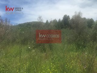 Αγροτεμάχια 13.862 τ.μ. πρός πώληση, Εύβοια, Ιστιαία-thumb-13
