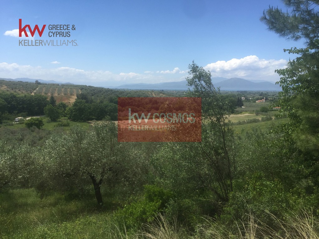 Αγροτεμάχια 13.862 τ.μ. πρός πώληση, Εύβοια, Ιστιαία