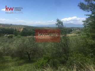 Αγροτεμάχια 13.862 τ.μ. πρός πώληση, Εύβοια, Ιστιαία-thumb-2