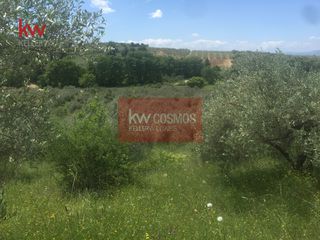 Αγροτεμάχια 13.862 τ.μ. πρός πώληση, Εύβοια, Ιστιαία-thumb-8