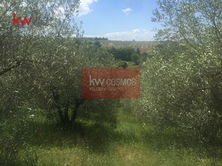 Αγροτεμάχια 13.862 τ.μ. πρός πώληση, Εύβοια, Ιστιαία-thumb-19