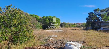 Land plot 2.359,48sqm for sale-Kalivia Thorikou » Lagonisi