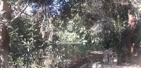 Land plot 480sqm for sale-Kalivia Thorikou » Lagonisi