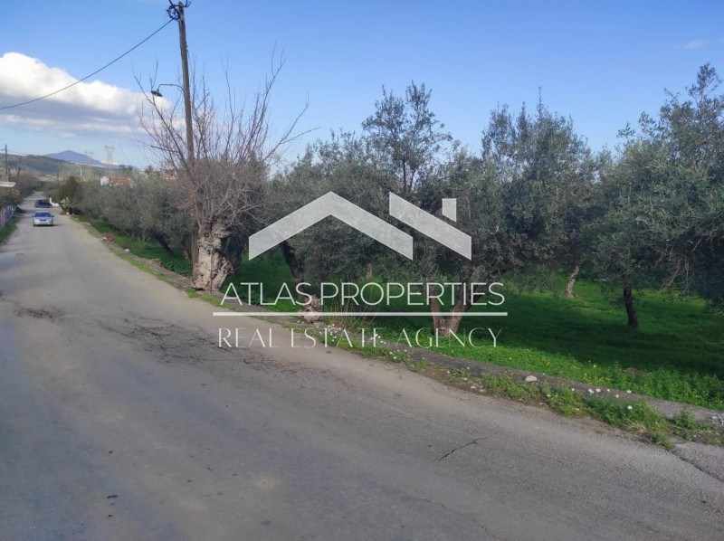 Οικόπεδο 1.277 τ.μ. προς πώληση, Νέο Χωριό Αρμενών