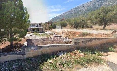Business bulding 504 sqm for sale