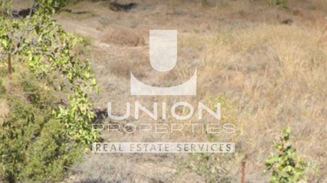 Land plot 1.398 sqm for sale