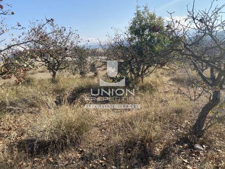 Land plot 747sqm for sale-Koropi » Agia Marina
