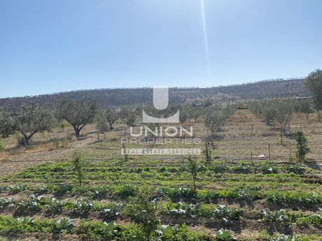 Land plot 11.000sqm for sale-Keratea » Ari