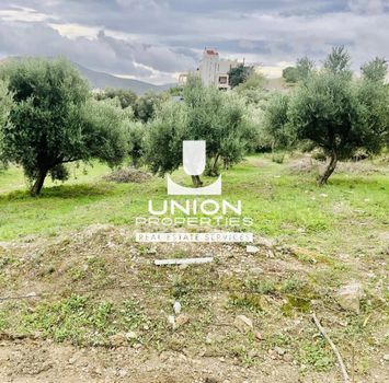 Οικόπεδο 500 τ.μ. για πώληση
