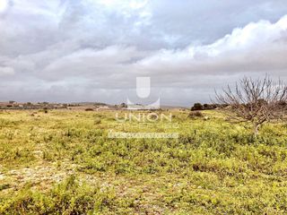 Οικόπεδο 4.394,23 τ.μ. για ενοικίαση