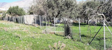 Land plot 5.400sqm for sale-Palaia Fokaia » Κέντρο