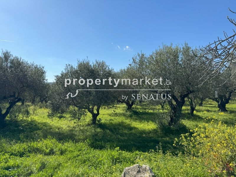 Αγροτεμάχια 452 τ.μ. προς πώληση, Καλύβες Αρμενών