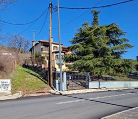 Μονοκατοικία 280 τ.μ. για πώληση, Ν. Φλώρινας, Φλώρινα-thumb-1