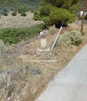 Αγροτεμάχια 5.150,81 τ.μ. για πώληση