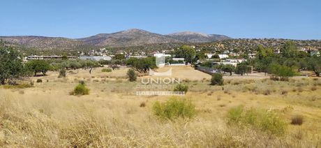 Land plot 3.000sqm for rent-Koropi » Kitsi