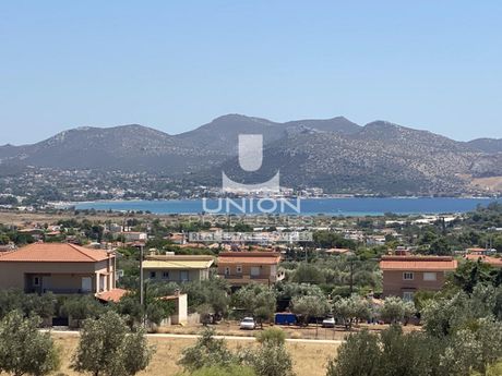 Land plot 557sqm for sale-Anavissos » Mavro Lithari