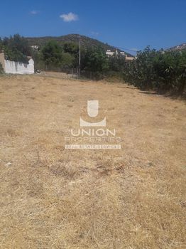 Land plot 802sqm for sale-Anavissos » Mavro Lithari