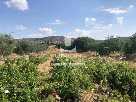 Land plot 2.664sqm for sale-Koropi » Kitsi