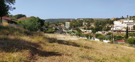 Land plot 12.000sqm for rent-Koropi » Agia Marina