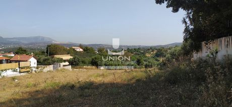 Land plot 6.000sqm for rent-Koropi » Agia Marina