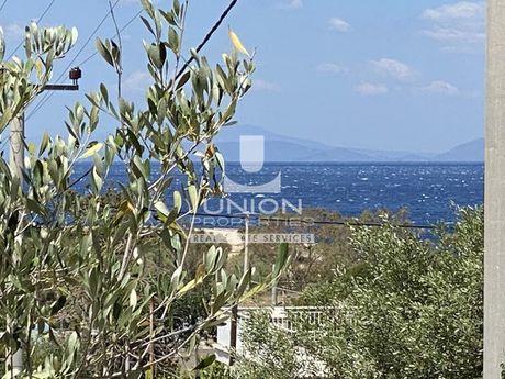 Οικόπεδο 2.462 τ.μ. για πώληση