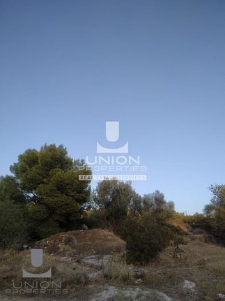 Parcel 1.500 sqm for sale, Athens - East, Koropi