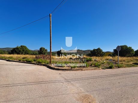 Οικόπεδο 4.590,30 τ.μ. για πώληση