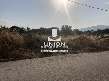 Οικόπεδο 1.507 τ.μ. για πώληση