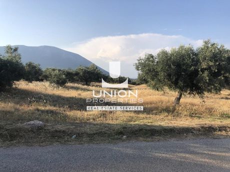 Οικόπεδο 4.762,85 τ.μ. για πώληση