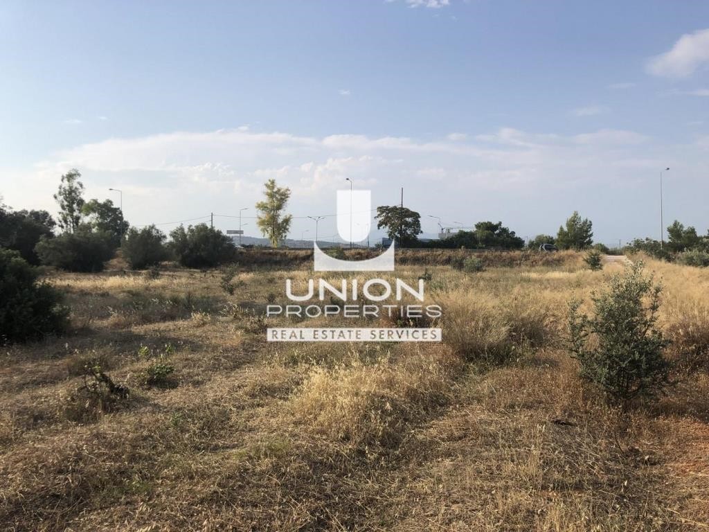 Αγροτεμάχια 6.056 τ.μ. πρός πώληση, Αθήνα - Ανατολικά Προάστια, Κορωπί