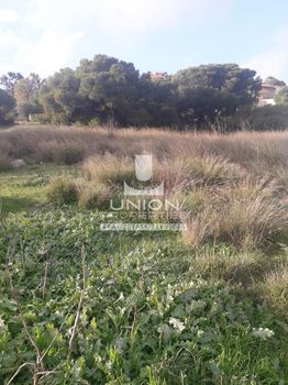 Land plot 1.800sqm for sale-Kalivia Thorikou » Lagonisi